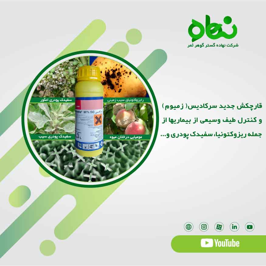  قارچکش جدید سرکادیس(زمیوم)